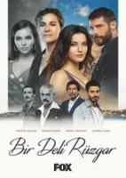 Сумасшедший ветер смотреть онлайн сериал 1 сезон